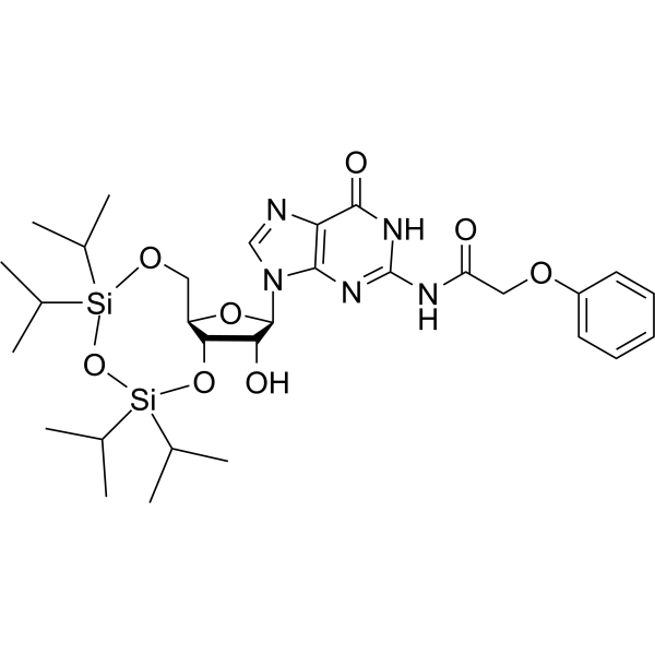 N2-Phenoxyacetyl-3′,5′-O-(tetraisopropyldisiloxane-1,3-diyl)guanosine 131474-72-1
